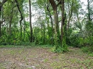 8641 HIGH STREET, YALAHA, FL 34797