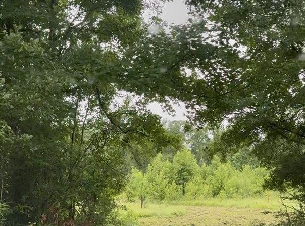 Us-51, Crystal Springs, MS 39059