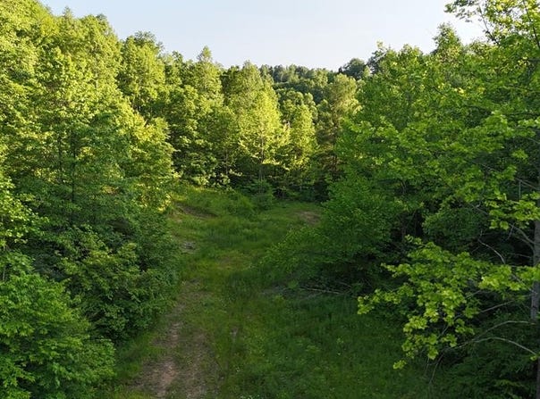 0 Calico Fork Rd, Louisa, KY 41230