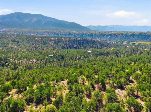 Deer Mesa Road lot: 11, Valdez, NM 87571