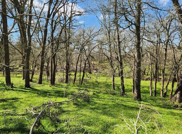 40499 Garrett Rd, Pattison, TX 77423