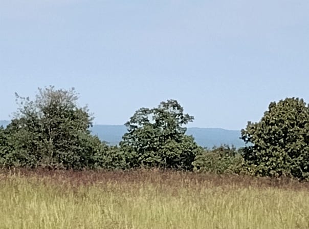 Toad Hollow rd, Mountain View, AR 72560
