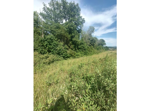 4 Frasure Lane, Mt Sterling, KY 40353