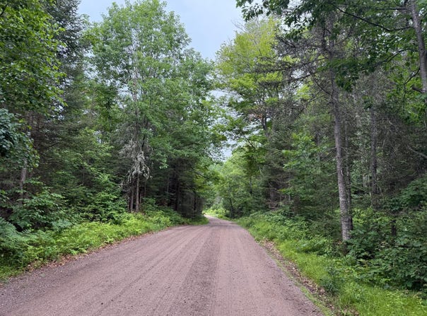 On STEELE RD, Harshaw, WI 54529
