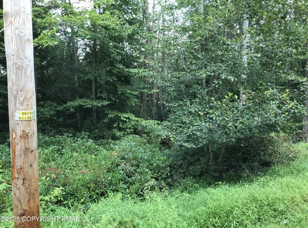 367 & 368 Sparrow Lane, Jim Thorpe, PA 18229