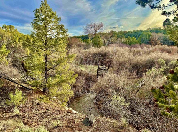 4665 S 9 8/10 Road, Glade Park, CO 81523