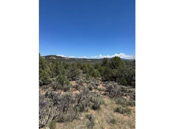 Lot 1 Unit 5, Tierra Amarilla, NM 87575