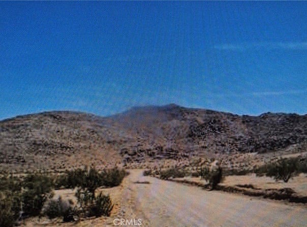 0 Lot 13 Benji Ave Avenue, Joshua Tree, CA 92252