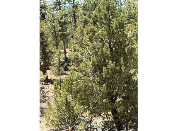 9th Trail, Cotopaxi, CO 81223