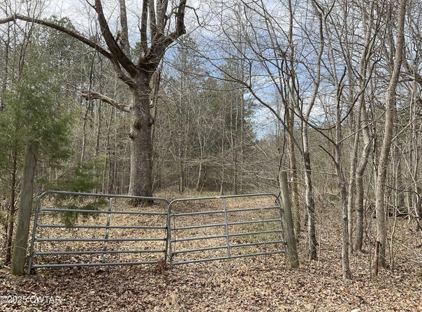 592 Hubberd Town Road, Beech Bluff, TN 38313