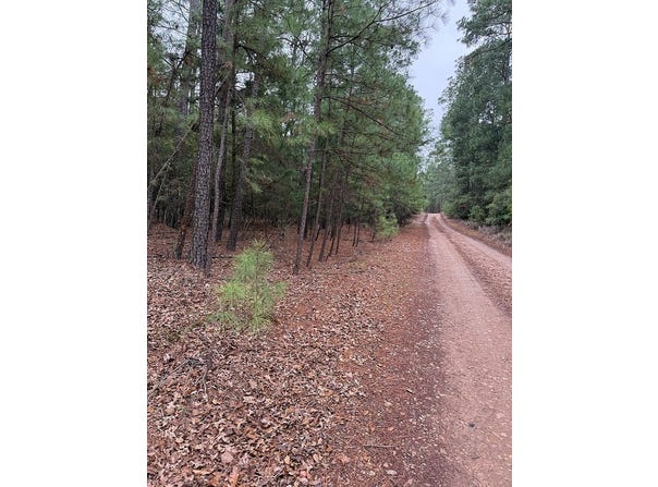 000 Red Fox Road, La Grange, TX 78945