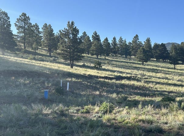 Lot 16 And 17 Saddleback Trail, Angel Fire, NM 87110