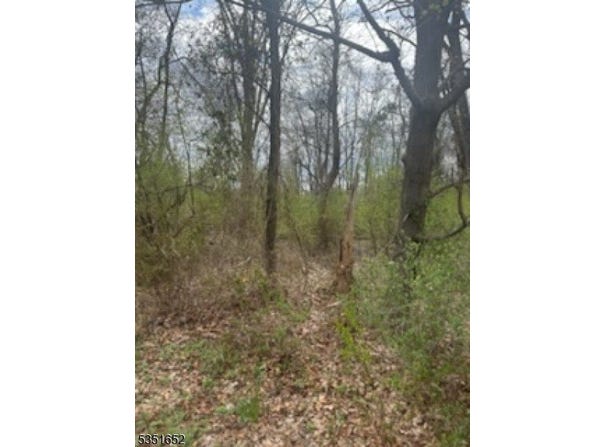 Warren Ave, Long Hill Twp., NJ 07980