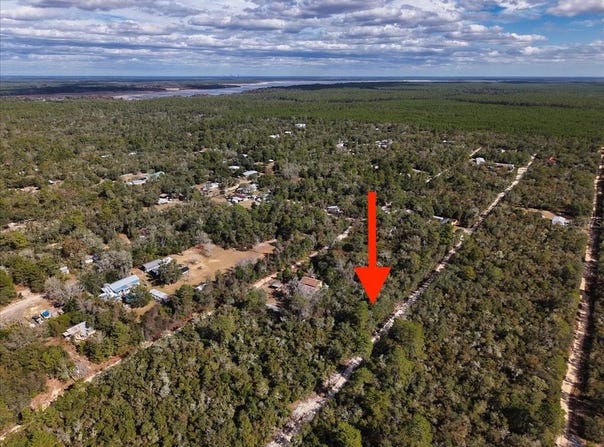 NE 233RD Lane, FORT MC COY, FL 32134