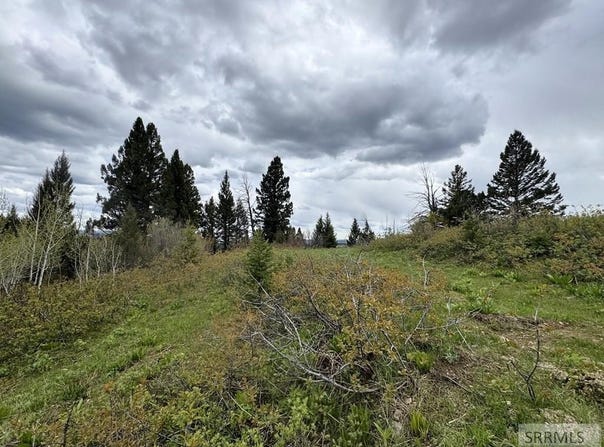 Tbd Price Road, Island Park, ID 83429