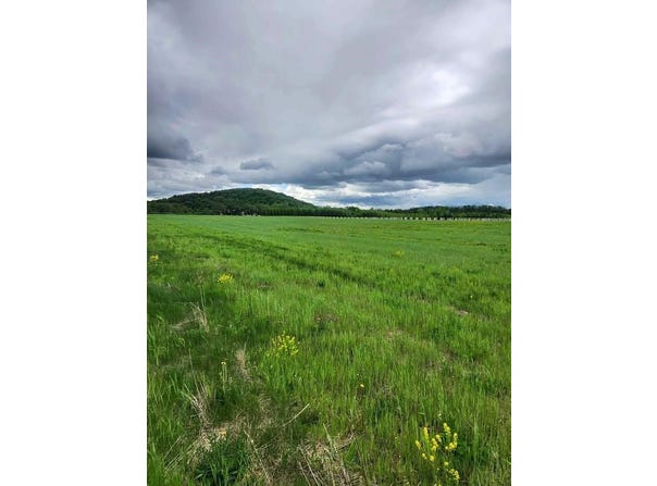 COUNTY ROAD S, NEW LONDON, WI 54911