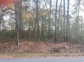 527 Club Wiley Road, Jackson, AL 36545
