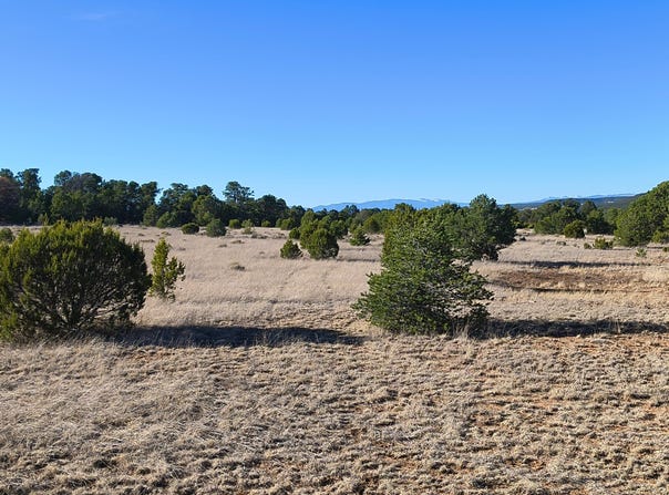 124 Tierra Del Dios Road, Rowe, NM 87567