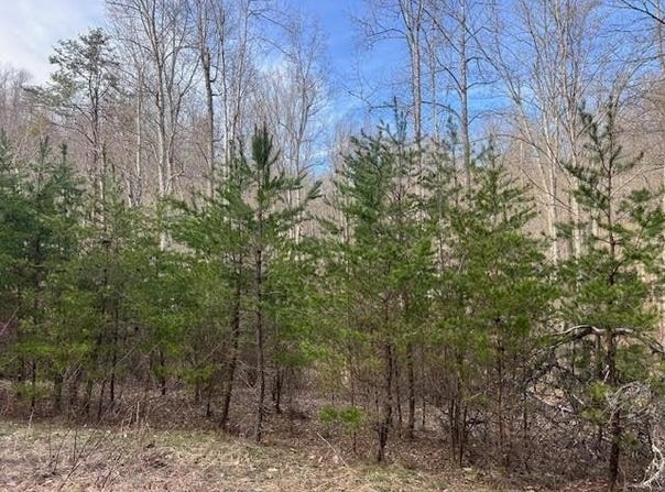 Lot 4 Rose Lane, Barboursville, WV 25504