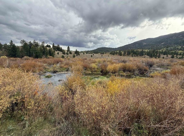 Cow Camp dr, Bancroft, ID 83217