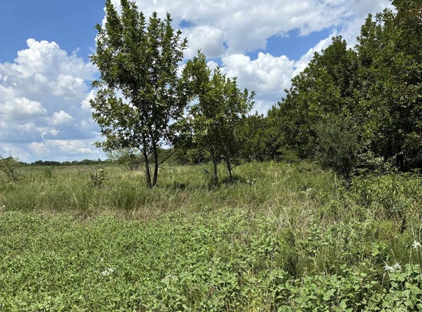 Turnbull Rd, Caddo, OK 74729