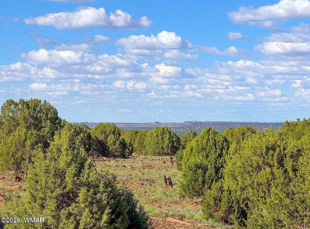 8025 Colt Lot #5 8 Acres Lane, Show Low, AZ 85901