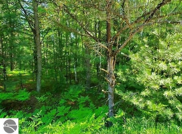 0 Hillside Drive, Alger, MI 48610