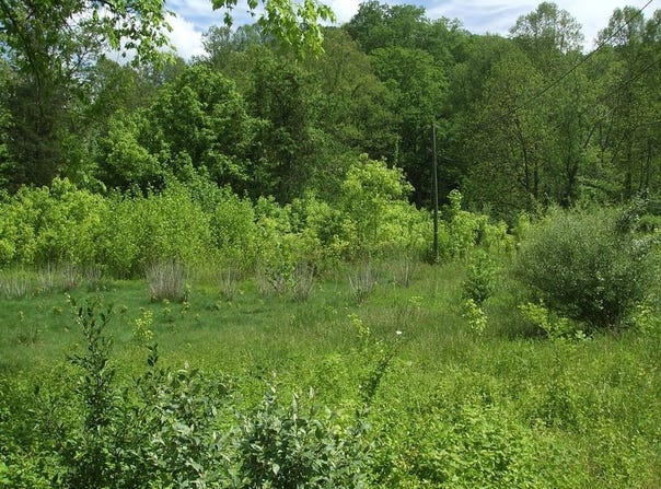 0 Little Elk Hode Road, (D 38 P 137 & D 48 P 341), Warfield, KY 41267