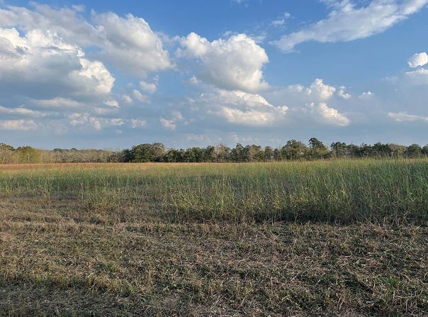 0 Squirrel Rd, New Ulm, TX 78950