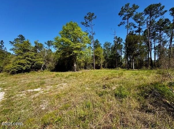 Tbd Akers Trail, Chipley, FL 32428