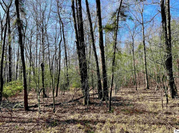 MARTIN LANE, West Monroe, LA 71291