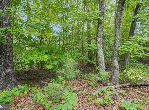 383 RED CLOUD ROAD, LUSBY, MD 20657