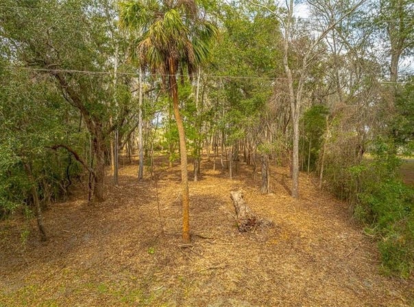 101 Marsh Trace, Brunswick, GA 31525