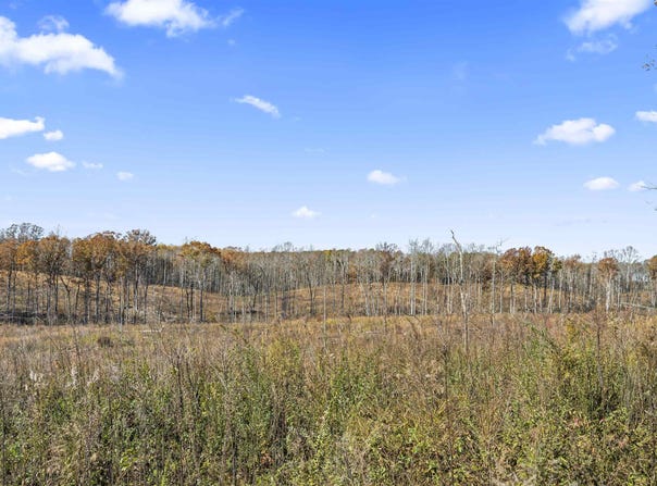 Co Rd 1067, Vinemont, AL 35179