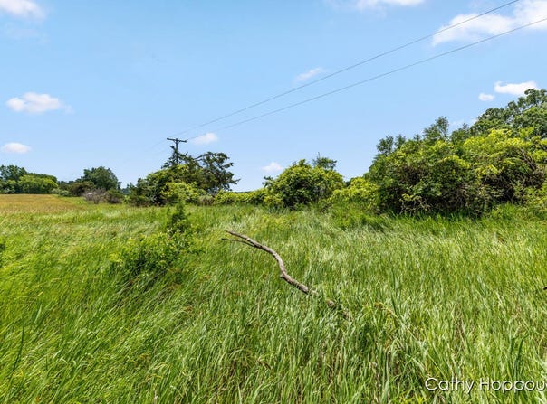 V/L Staley Road, Lyons, MI 48851