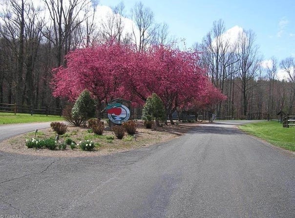 Baldwin Drive lot: 35, Lowgap, NC 27024