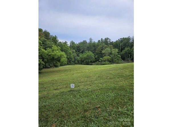 9999 Settlers Trail, Mars Hill, NC 28754