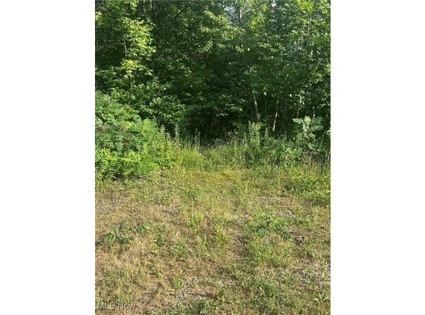 W Salem Road, West Salem, OH 44287