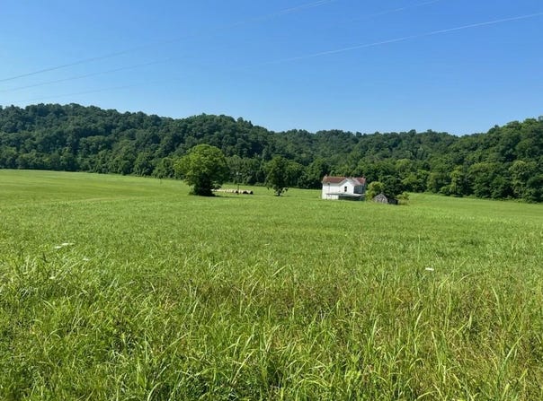 439 Little Renox Road, Burkesville, KY 42717