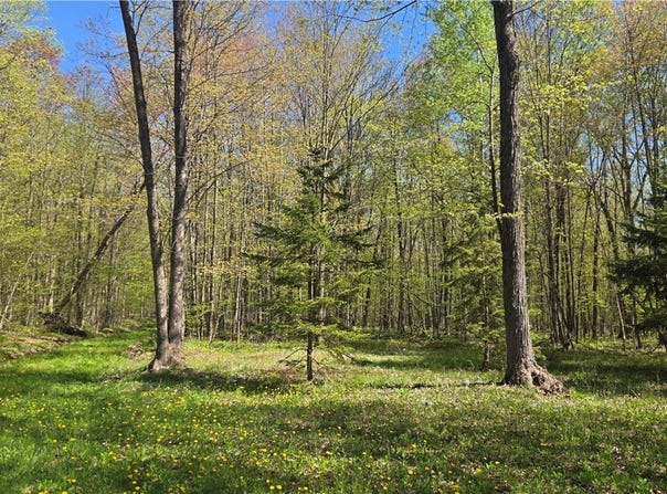 N 900 Joes Road, Conrath, WI 54731