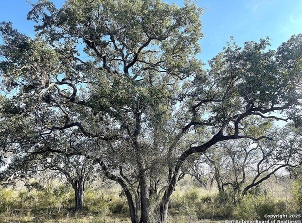 9652 CR 116, Beeville, TX 78102