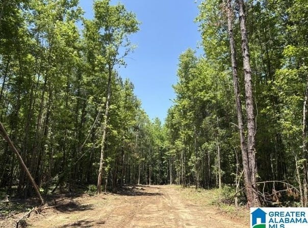 HIGHWAY 191 lot: 1, MAPLESVILLE, AL 36750