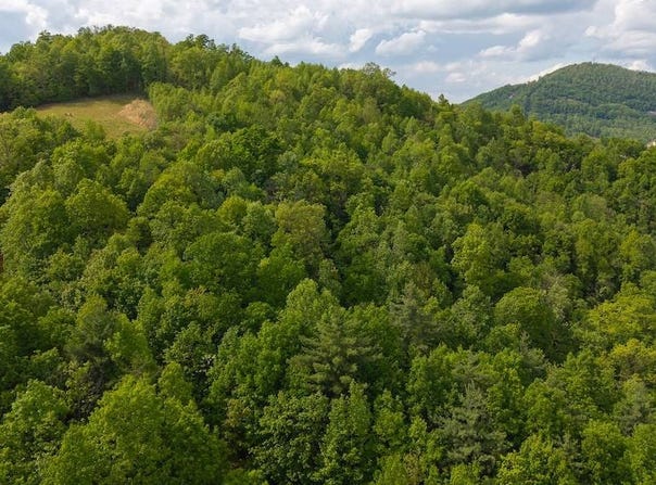 TBD Treadway Ridge Rd, Moravian Falls, NC 28697