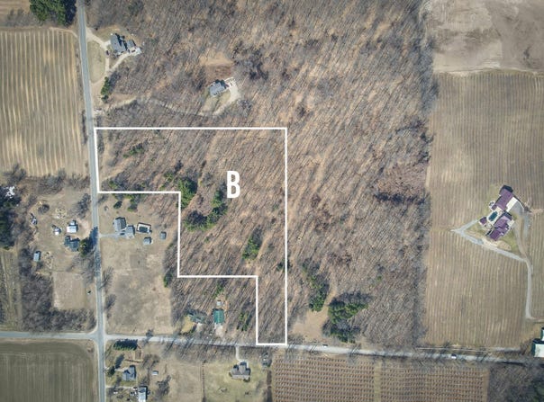 Parcel B S 88th Avenue, New Era, MI 49446