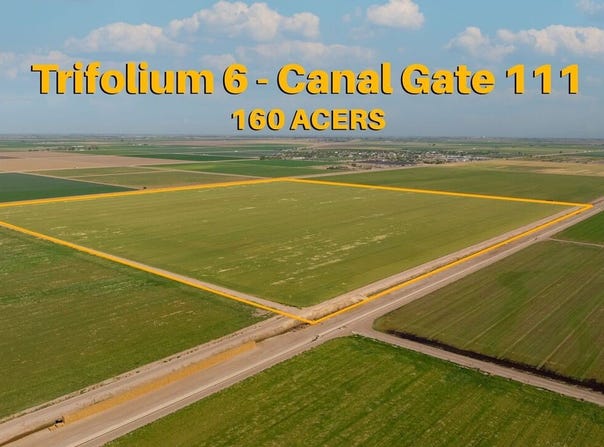 0 Trifolium 6 Canal Gate 111, Westmorland, CA 92281