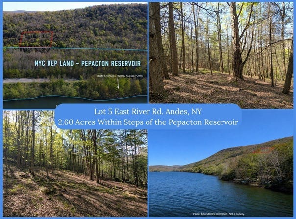 East River Road lot: 5, Andes, NY 13731