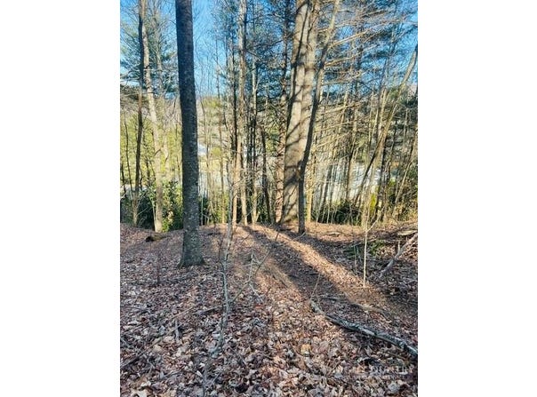 Skyview Lane, Banner Elk, NC 28607
