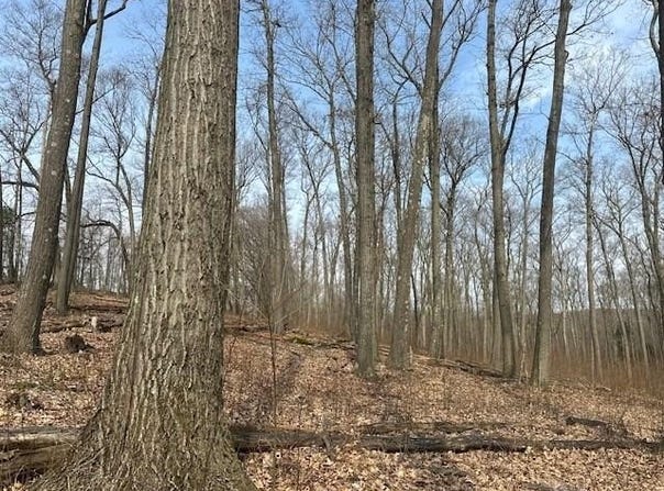 Tippecanoe Road, Knox, PA 16232