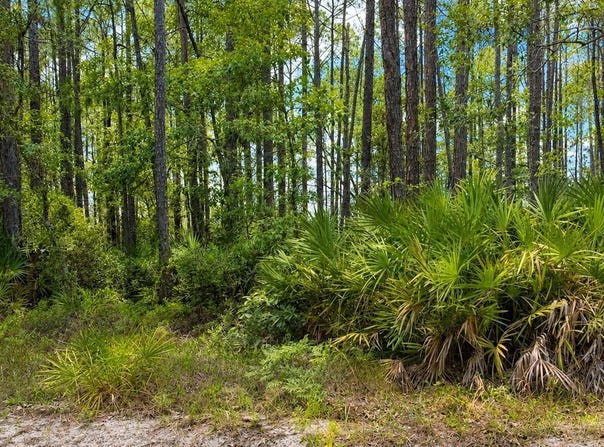 Baker Creek Road, Nahunta, GA 31553