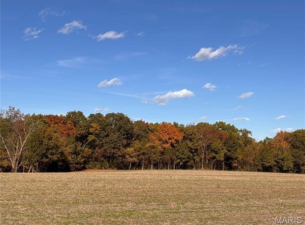 4+/- Acres Ranch Rd., Wright City, MO 63390